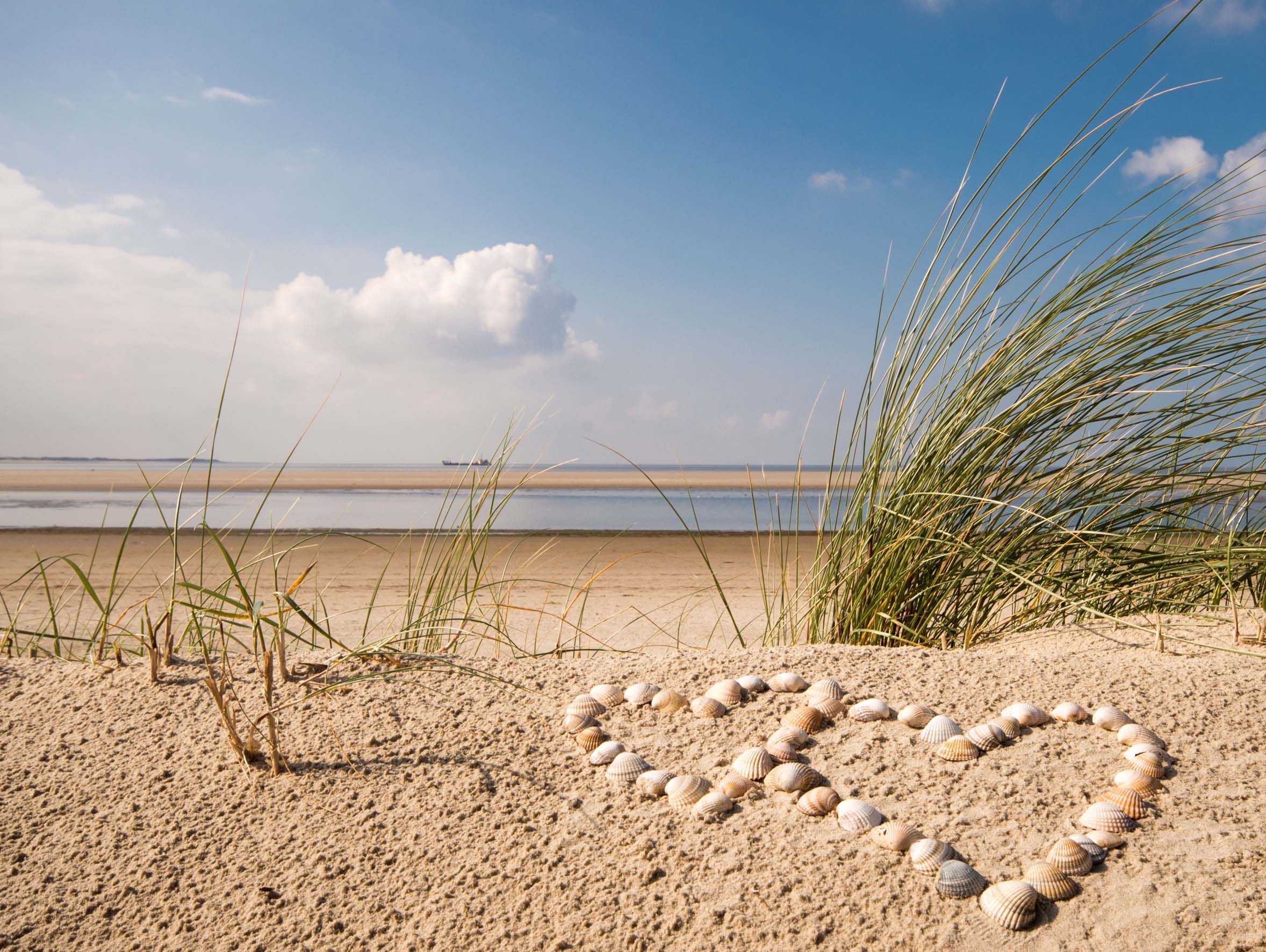 Langeoog.durchatmen.Muscheln