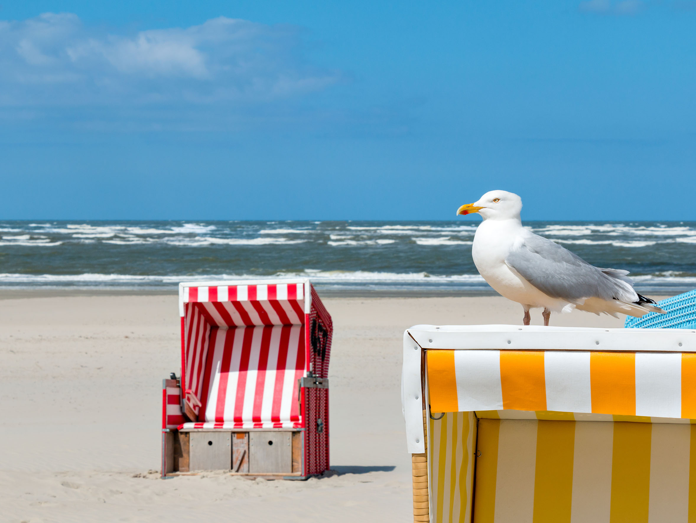 Langeoog.durchatmen.möwe